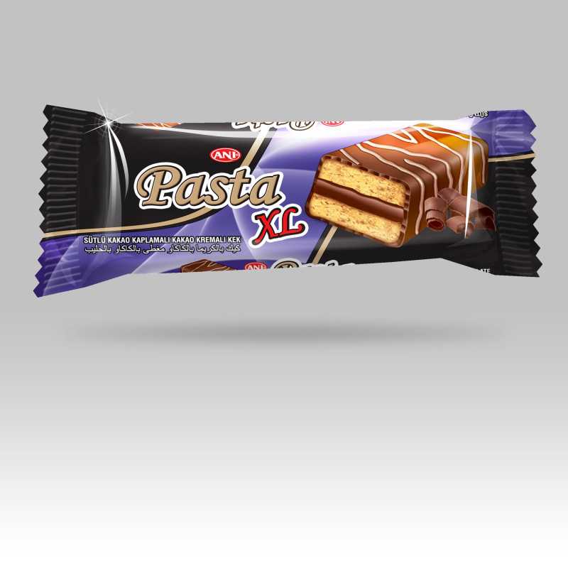كيك ساندويتش مع حشوة الكاكاو مغطى بالشوكولاتة Sandwich Cake With Chocolate Filling Coverd in Chocolate